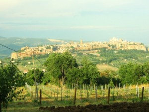 orvieto